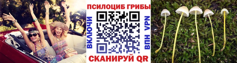 Псилоцибиновые грибы GOLDEN TEACHER  Нестеров 