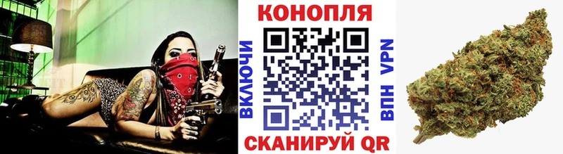Бошки марихуана планчик  Нестеров 